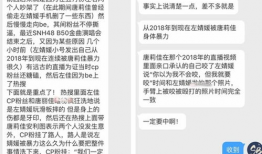 吃瓜爆料snh48,吃瓜爆料，揭开偶像背后的故事